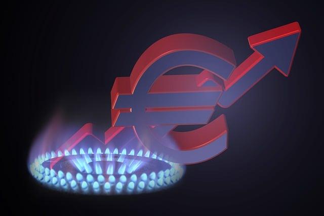 Úspory plynu a ekonomický výkon