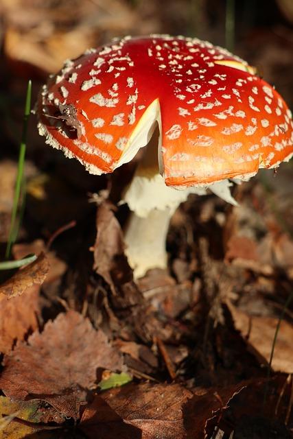 Rizika spojená s neplacením elektřiny a důsledky vyšších dluhů