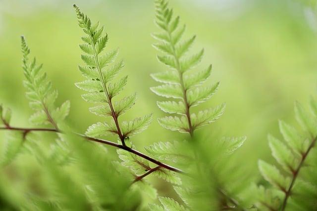 Tipy a doporučení při výběru správného tepelného čerpadla